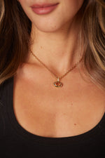 Choker Night - Rose